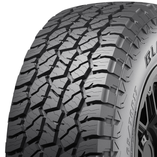 Blackhawk Ridgecrawler AT - Part Number 4120871V Blackhawk Ridgecrawler AT Photo