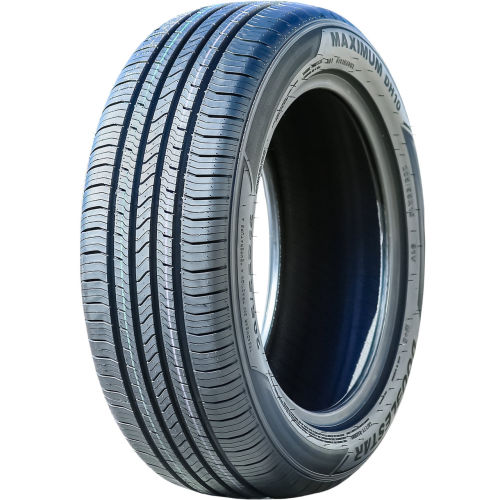 Doublestar Maximum DH10 Tire