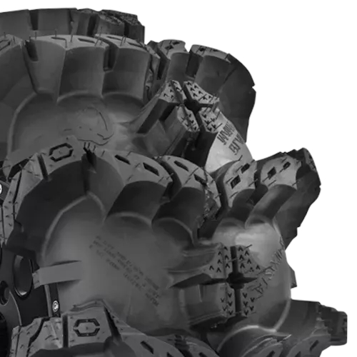 Interco Black Mamba Photo