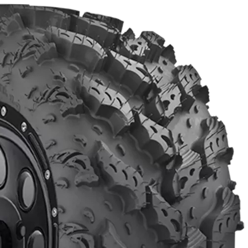 Interco Radial Reptile Photo