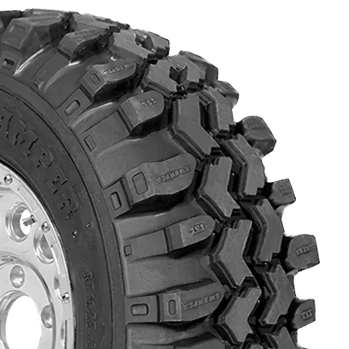 Interco Super Swamper LTB Photo