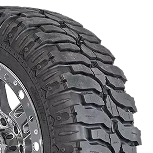 Interco Super Swamper Ss-M16 Photo