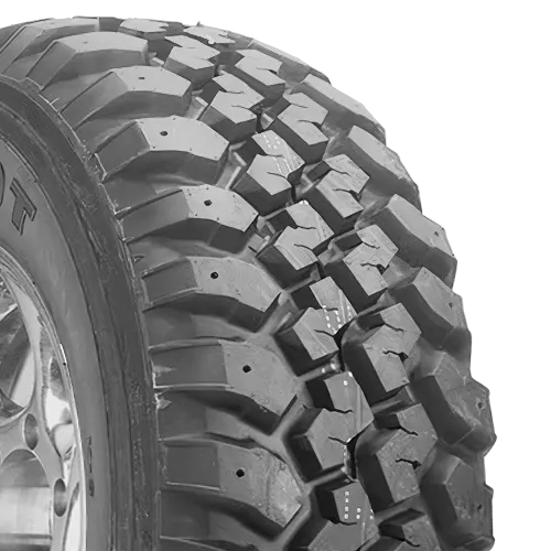 Maxxis Buckshot Mudder MT-754 Photo