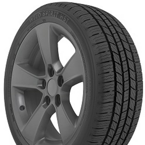 Multi Mile Wild Spirit HST Photo