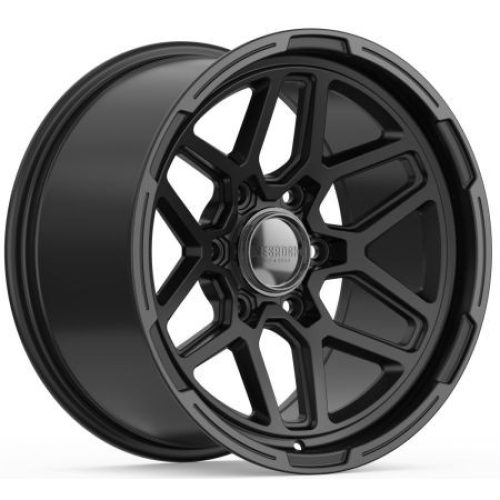Wesrock Dl-6 Satin Silver Machined Lip